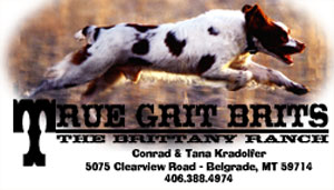 trugrit.jpg - business card