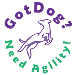 Got Dog? Need Agility!