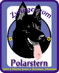 Lodestar Logo